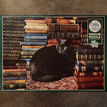 library cat puzzle
