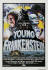 young frankenstein