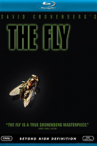 the fly